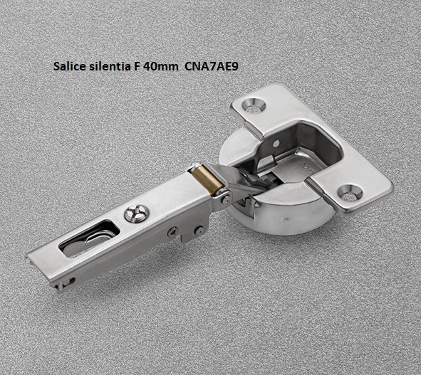 salice silentia f 40 ίσιος